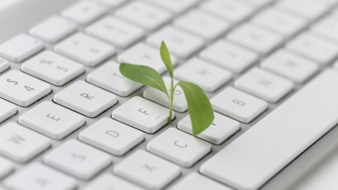 zdjęcie listek na klawiaturze - symbol ESG